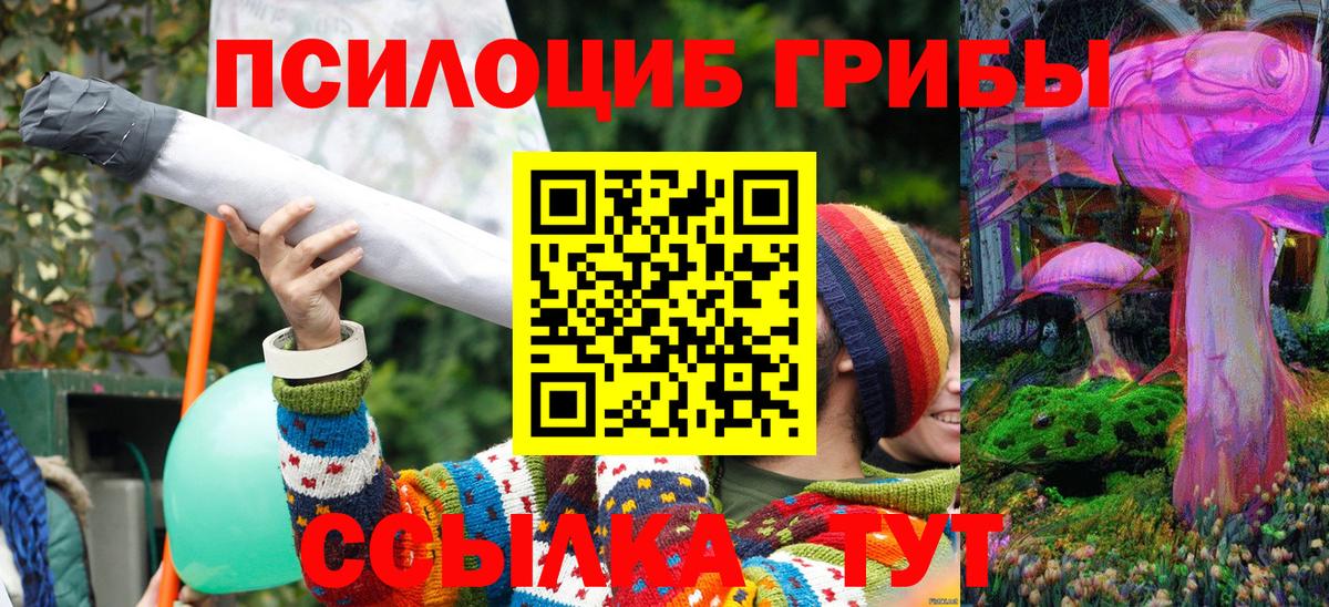 Псилоцибиновые грибы GOLDEN TEACHER Нововоронеж